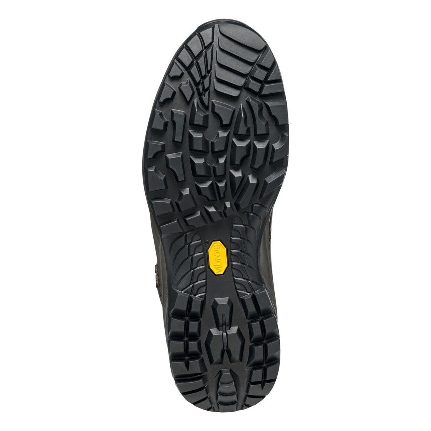 Terra GTX Hiking Boot F25
