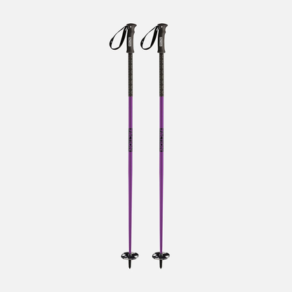 Faction Pole 2027